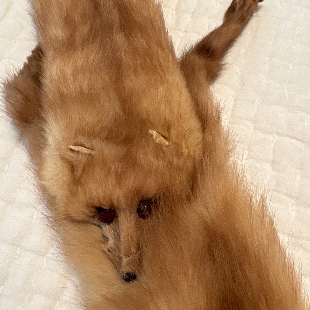 Grandma’s Vintage Fox Wrap - Picture 4 of 6